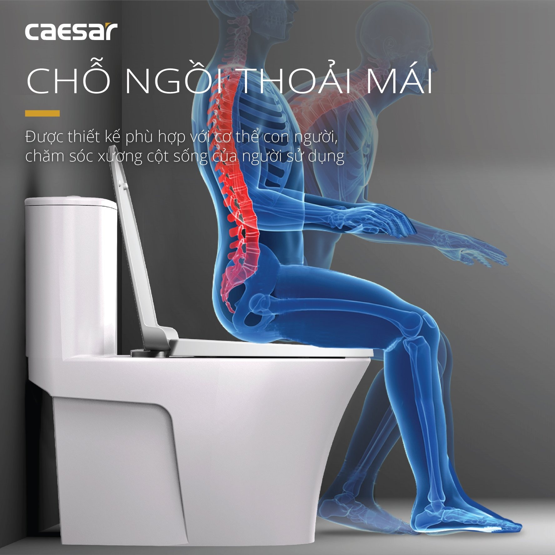 Góc nhìn thực tế Bồn Cầu Caesar CD1395 Một Khối