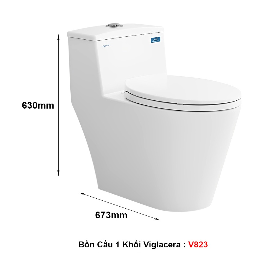 Bồn cầu 1 khối nắp êm Viglacera V823, men kháng khuẩn ViGuard